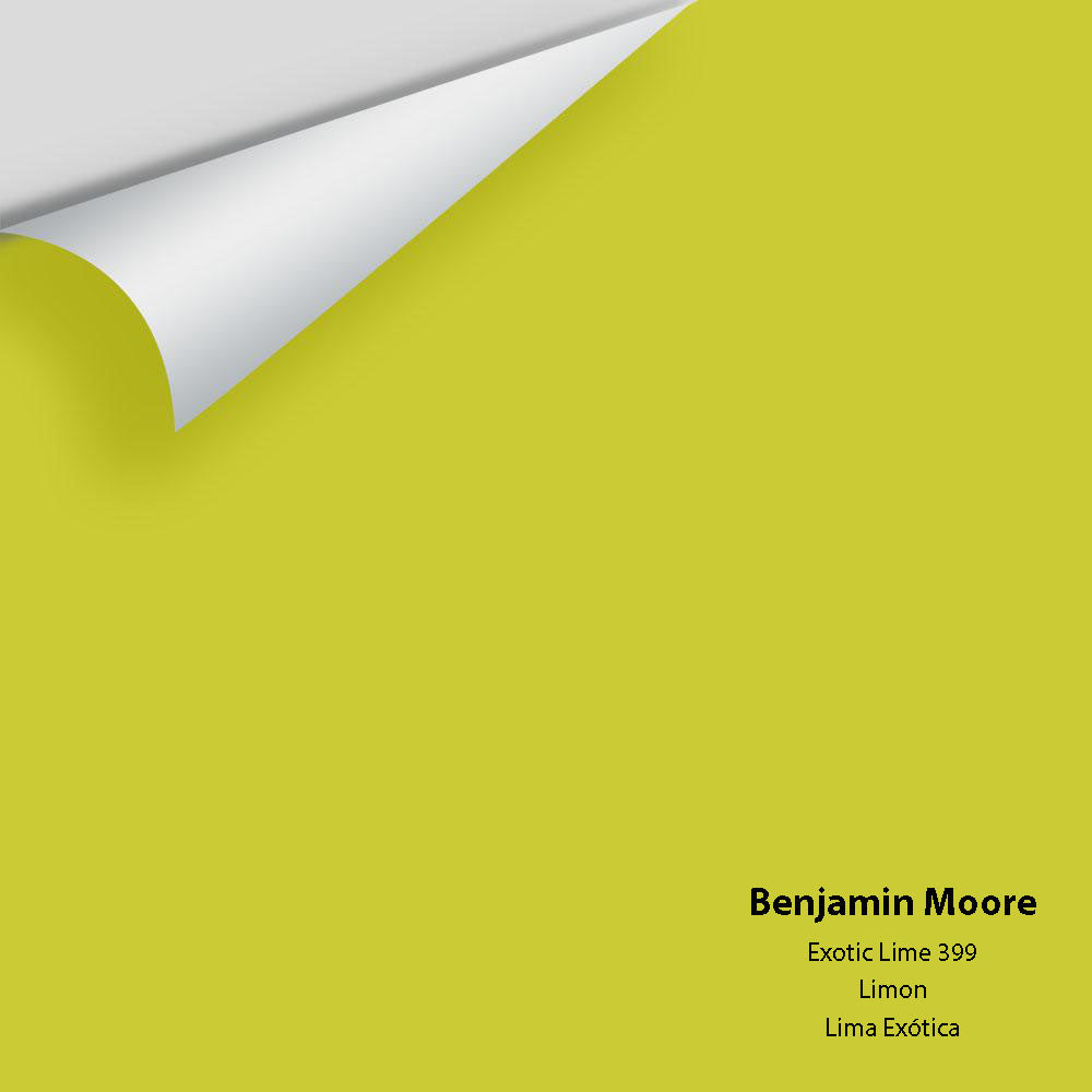 Big Paint Chip - Exotic Lime 399