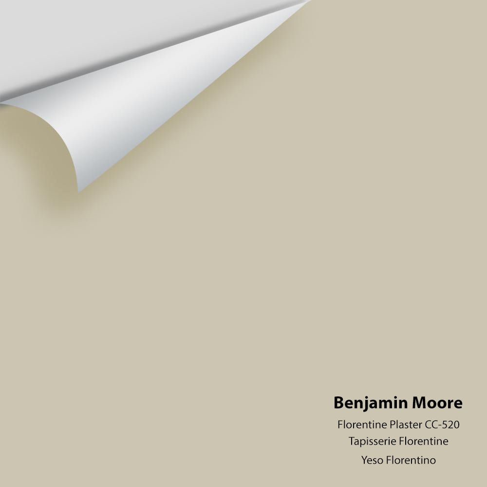 Benjamin Moore - Florentine Plaster CC-520 Colour Sample