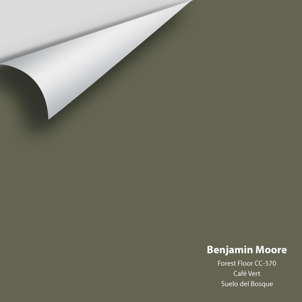 Benjamin Moore - Forest Floor 1498 / CC-570 Colour Sample