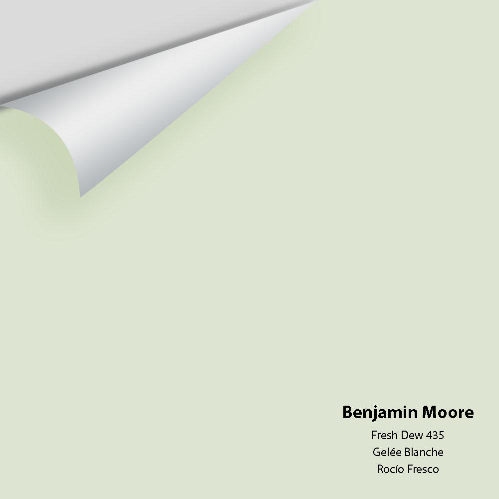 Benjamin Moore - Fresh Dew 435 Colour Sample