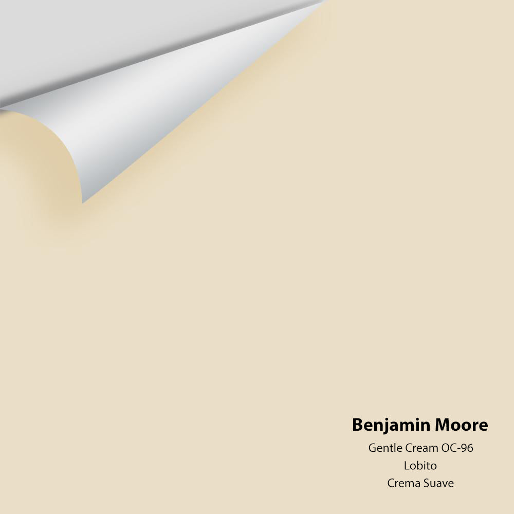Benjamin Moore - Gentle Cream OC-96 Colour Sample