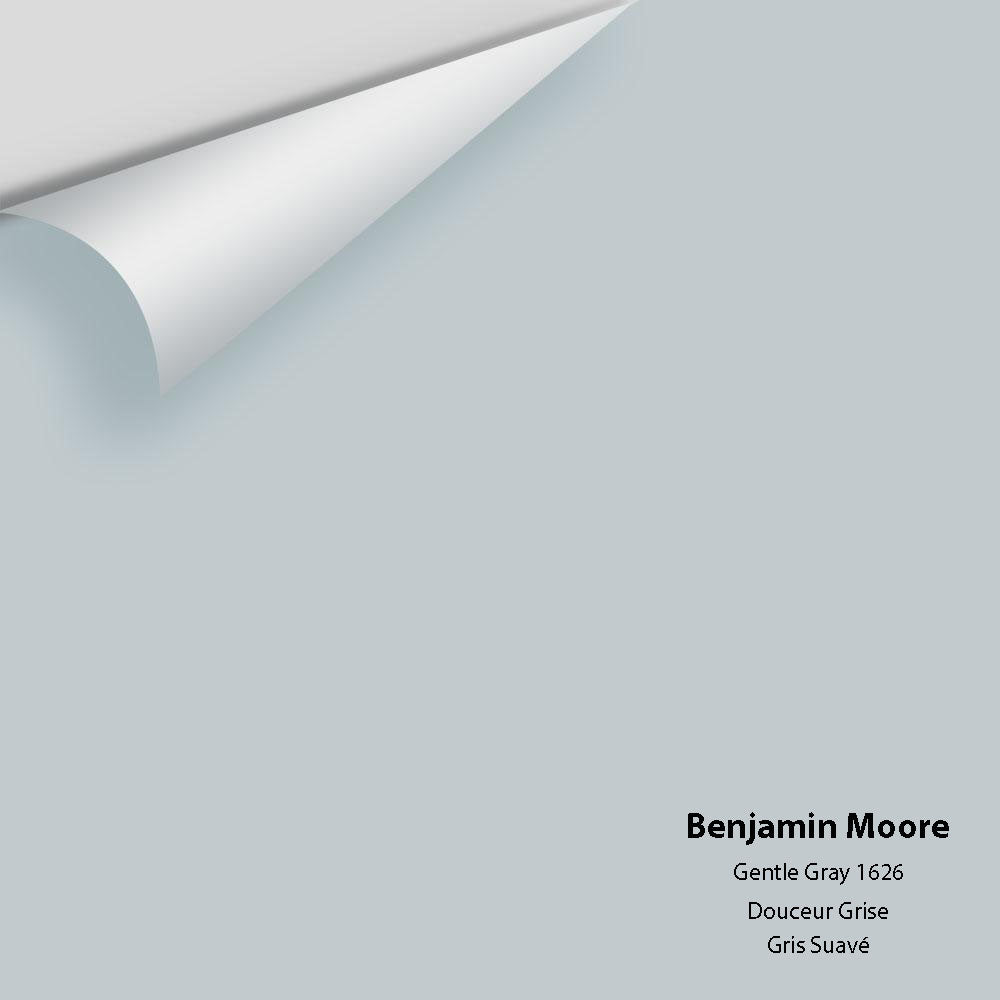 Benjamin Moore - Gentle Gray 1626 Colour Sample