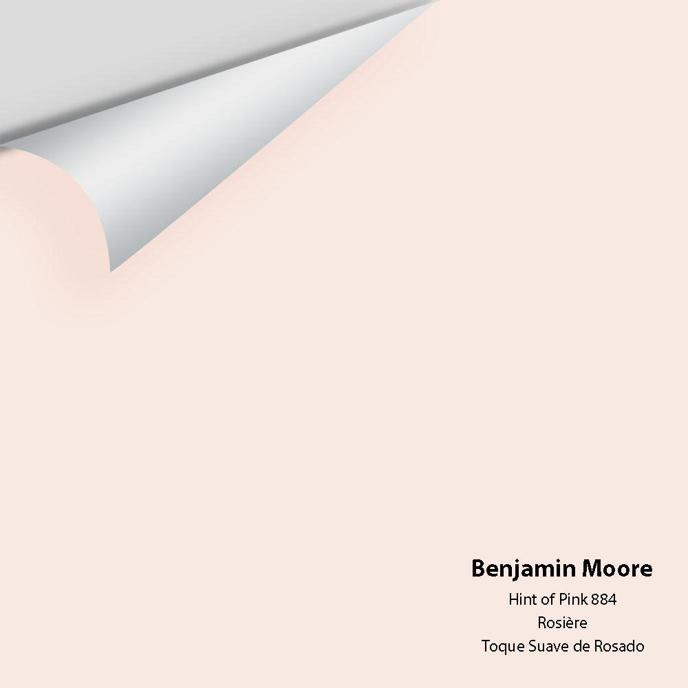 Big Paint Chip - Hint of Pink 884