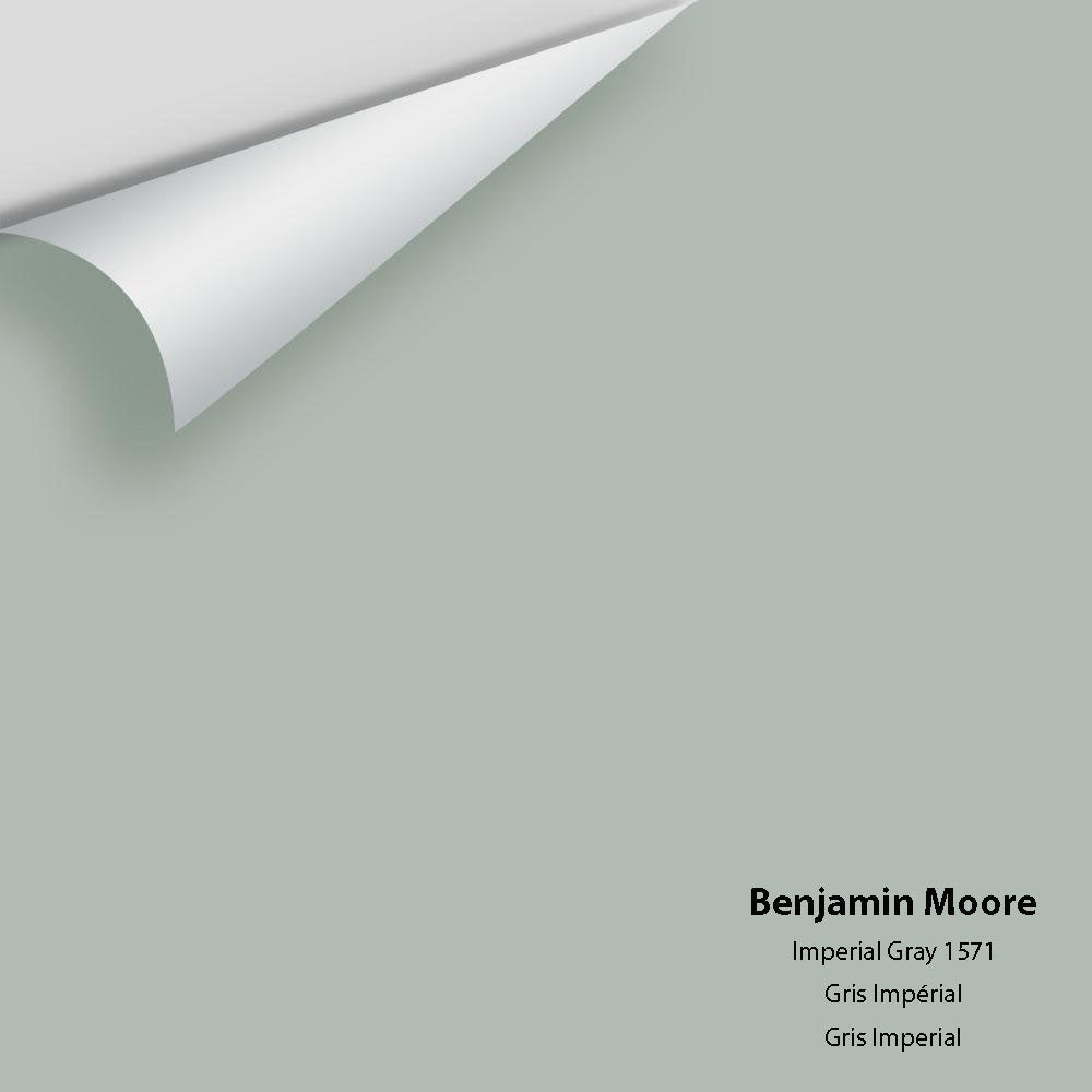 Benjamin Moore - Imperial Gray 1571 Colour Sample