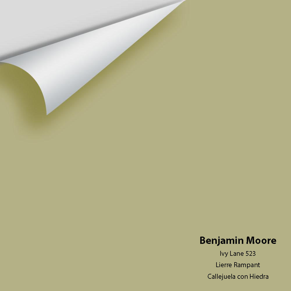 Benjamin Moore - Ivy Lane 523 Colour Sample