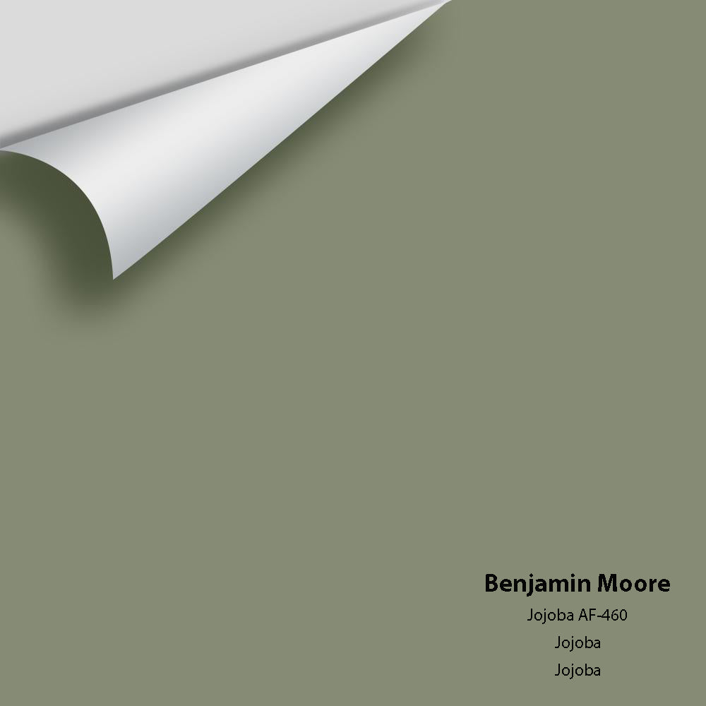 Benjamin Moore - Jojoba AF-460 Colour Sample