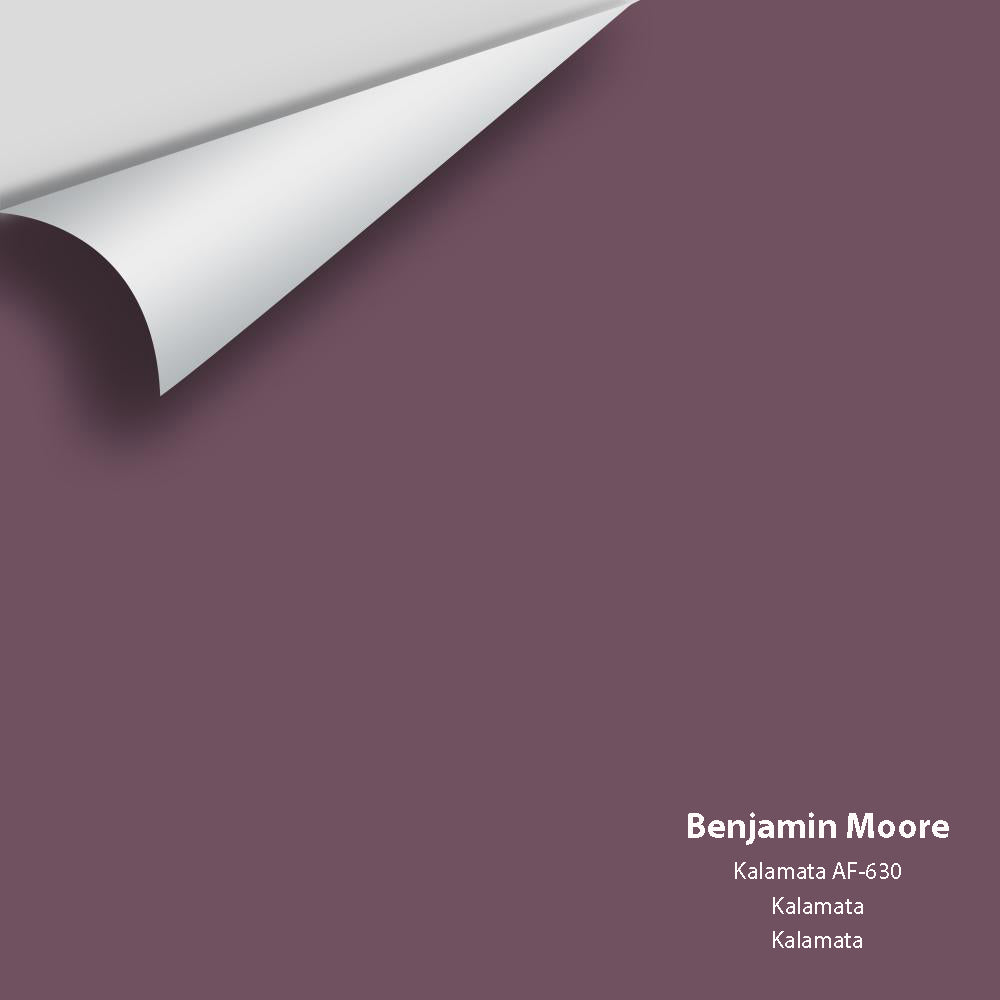 Benjamin Moore - Kalamata AF-630 Colour Sample