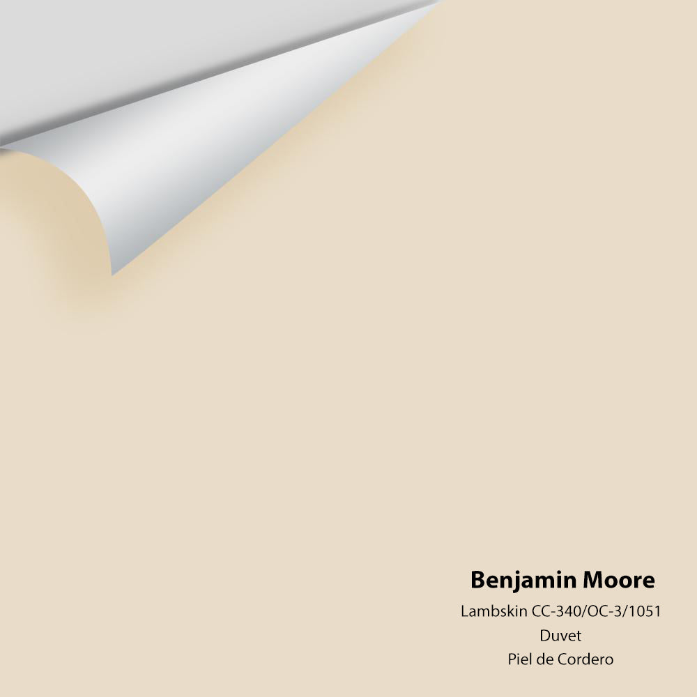 Benjamin Moore - Lambskin 1051 / CC-340 / OC-3 Colour Sample
