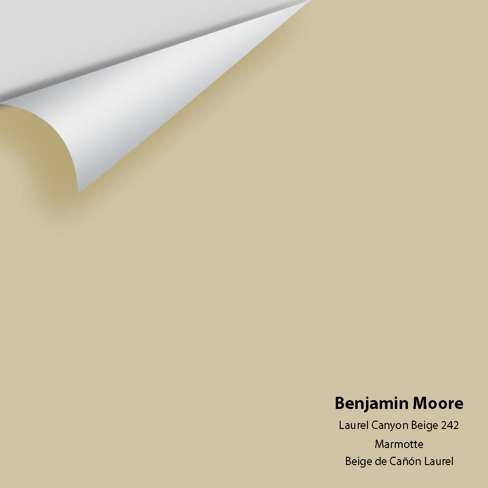 Benjamin Moore - Laurel Canyon Beige 242 Colour Sample