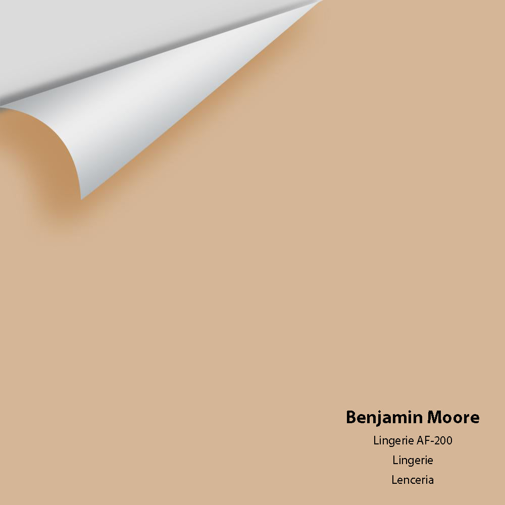Big Paint Chip - Lingerie AF-200