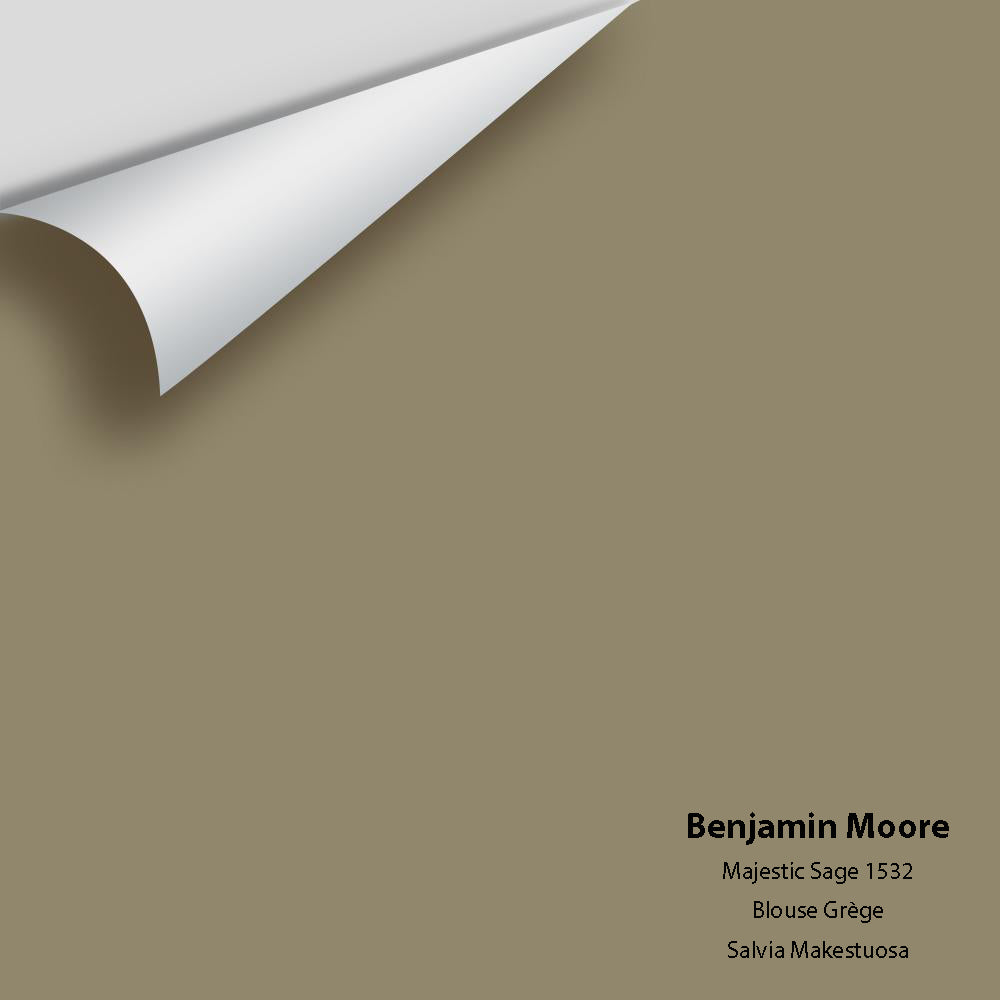 Big Paint Chip - Majestic Sage 1532