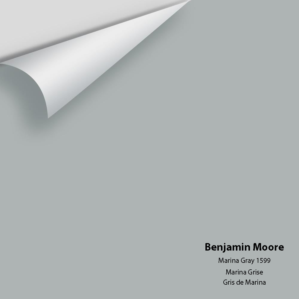 Benjamin Moore - Marina Gray 1599 Colour Sample