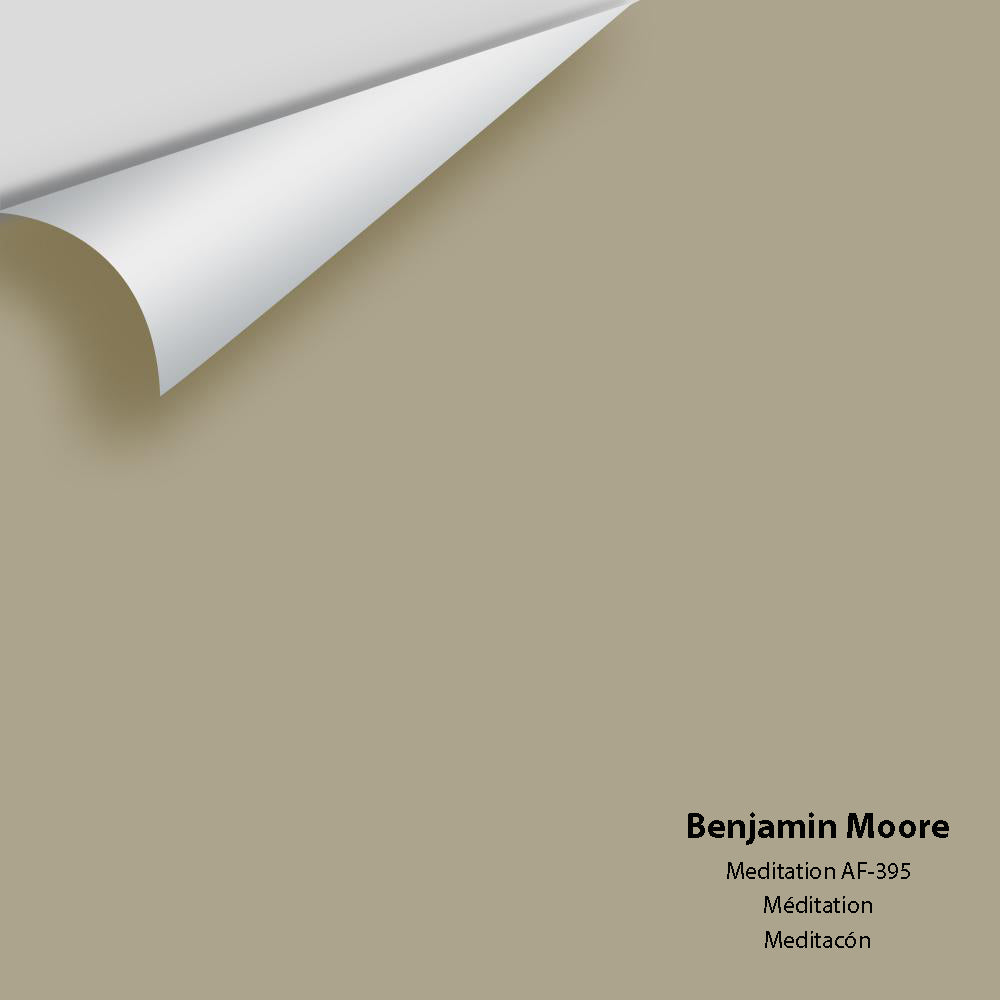 Benjamin Moore - Meditation AF-395 Colour Sample