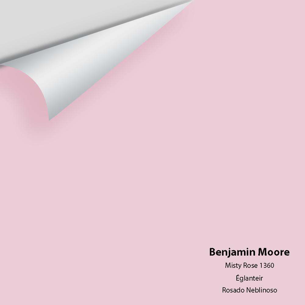 Big Paint Chip - Misty Rose 1360