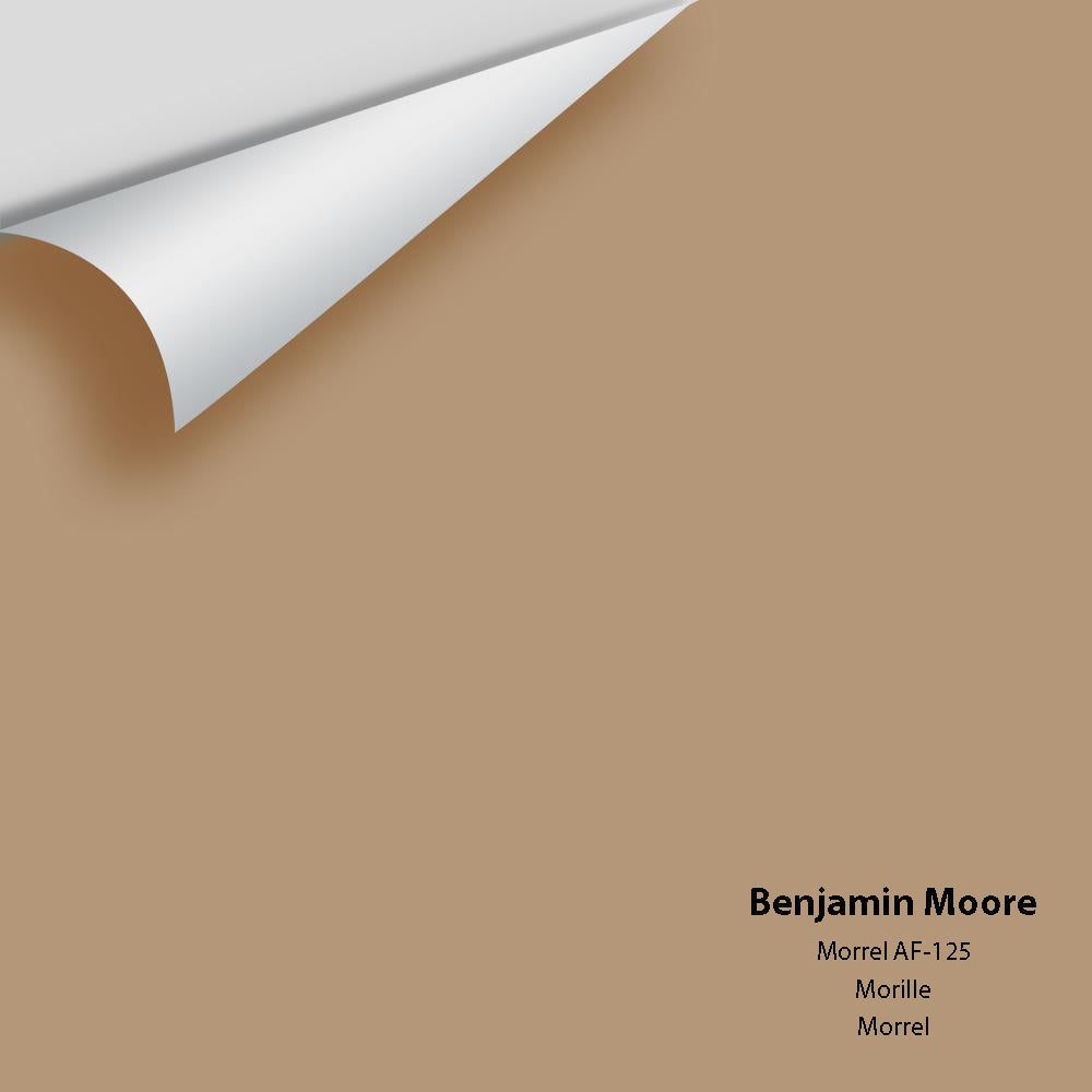 Big Paint Chip - Morrel AF-125