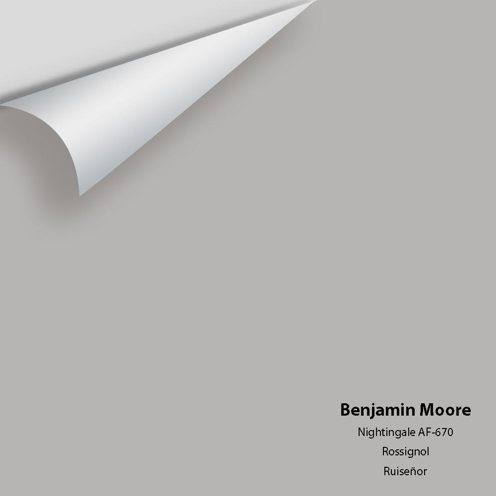 Benjamin Moore - Nightingale AF-670 Colour Sample