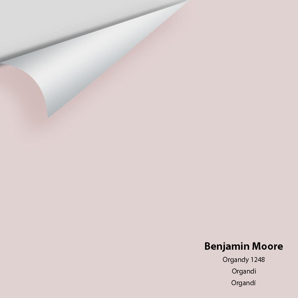 Big Paint Chip - Organdy 1248