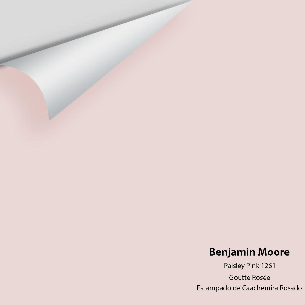 Benjamin Moore - Paisley Pink 1261 Colour Sample
