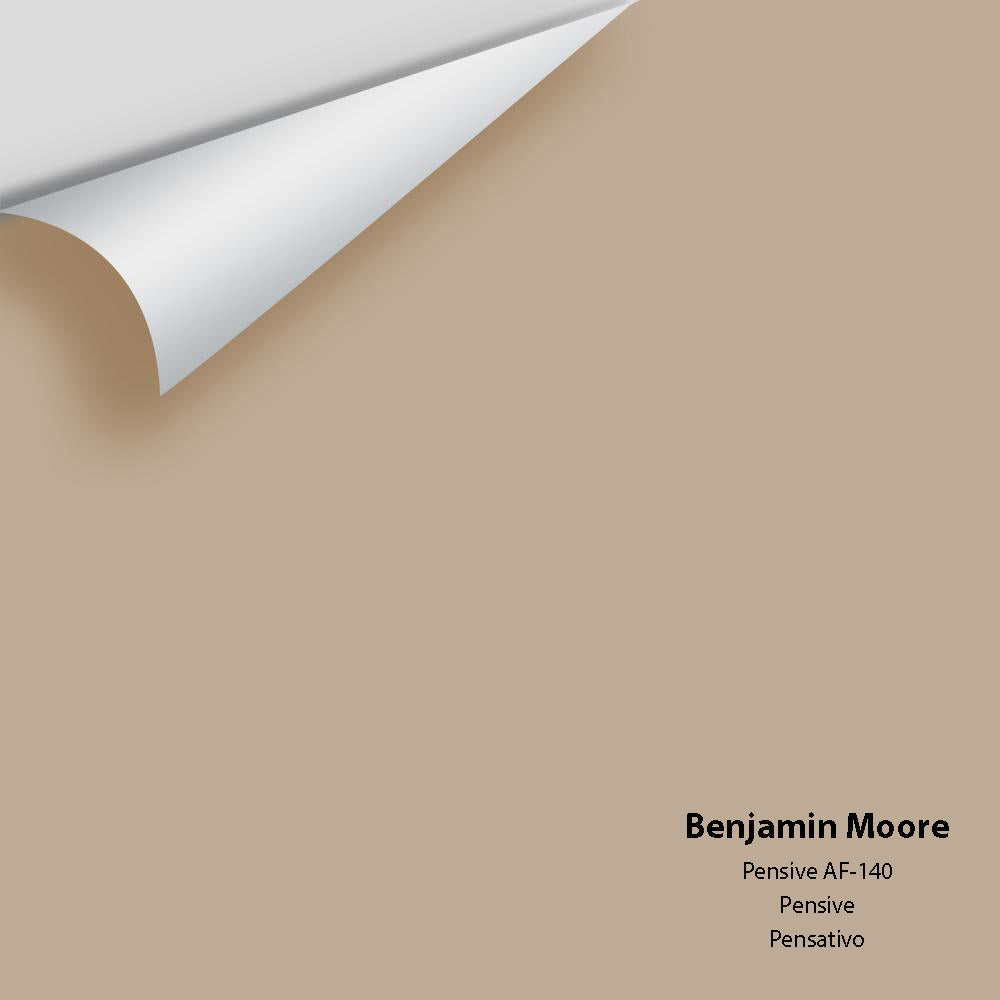 Benjamin Moore - Pensive AF-140 Colour Sample