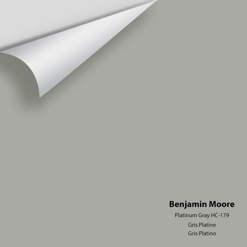 Benjamin Moore - Platinum Gray HC-179 Colour Sample