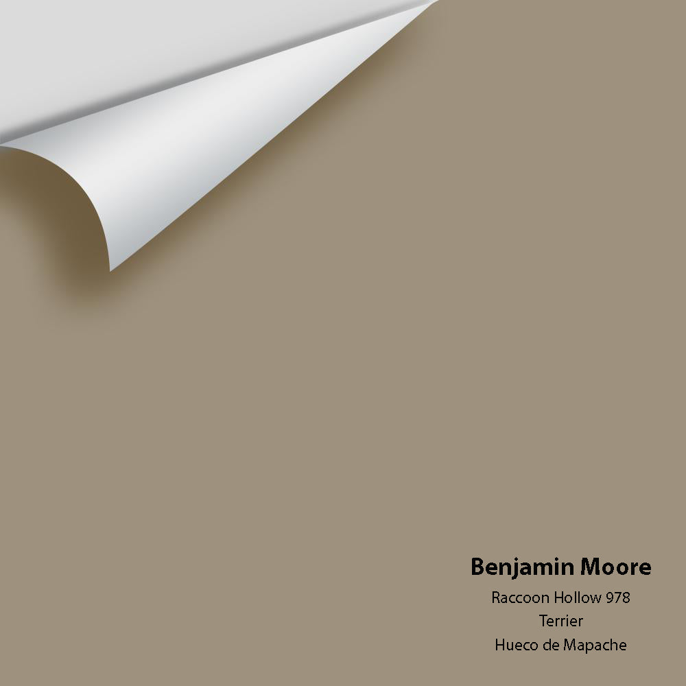 Big Paint Chip - Raccoon Hollow 978