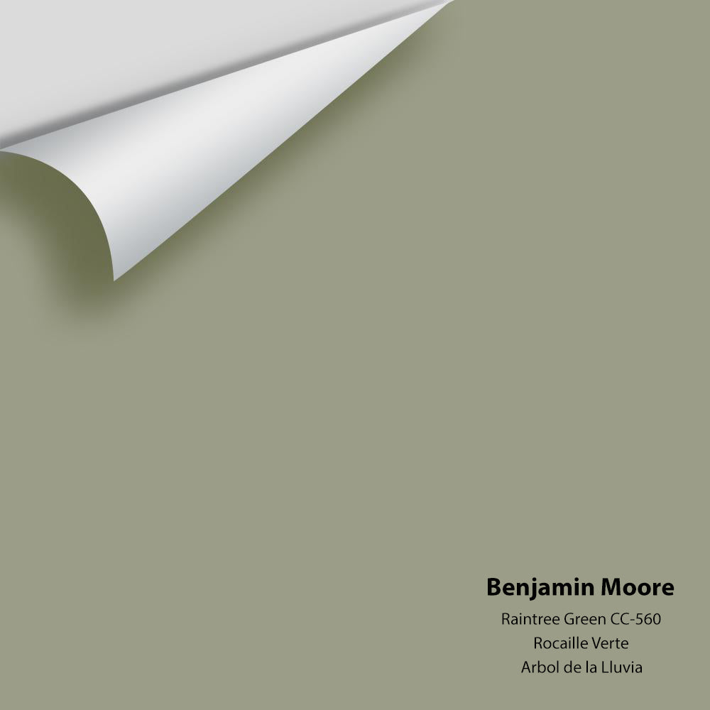Benjamin Moore - Raintree Green 1496 / CC-560 Colour Sample