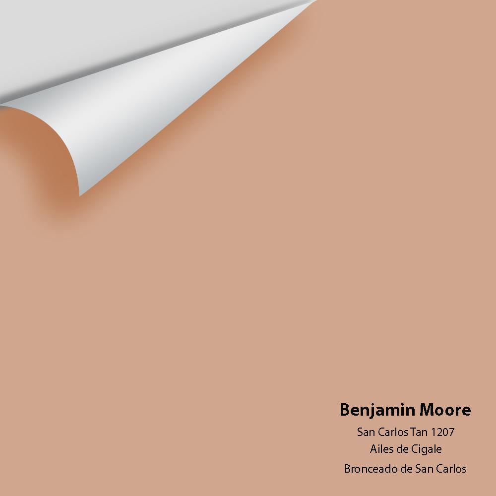 Big Paint Chip - San Carlos Tan 1207