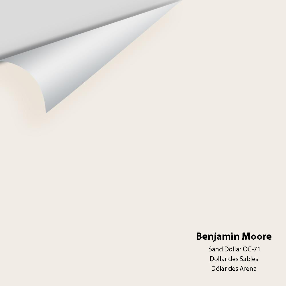 Benjamin Moore - Sand Dollar 877 / OC-71 Colour Sample