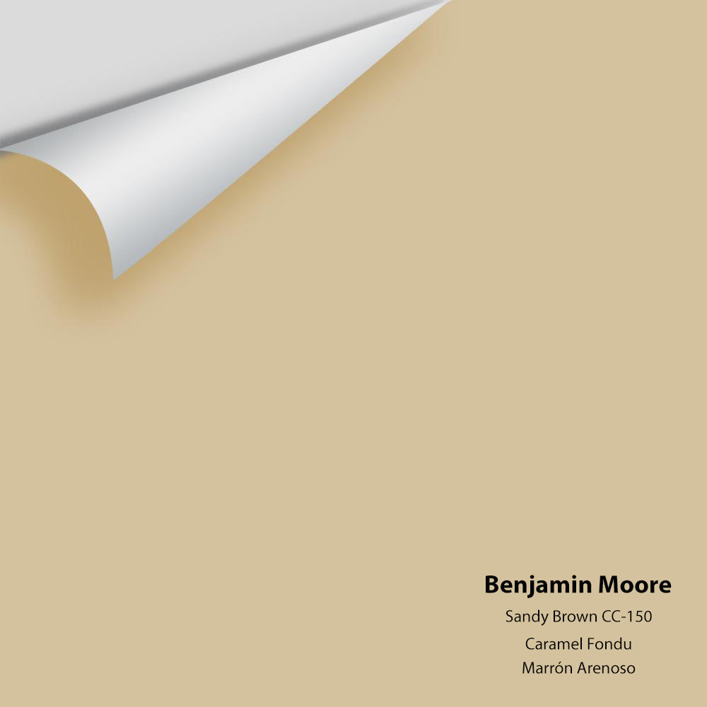 Benjamin Moore - Sandy Brown 1046 / CC-150 Colour Sample