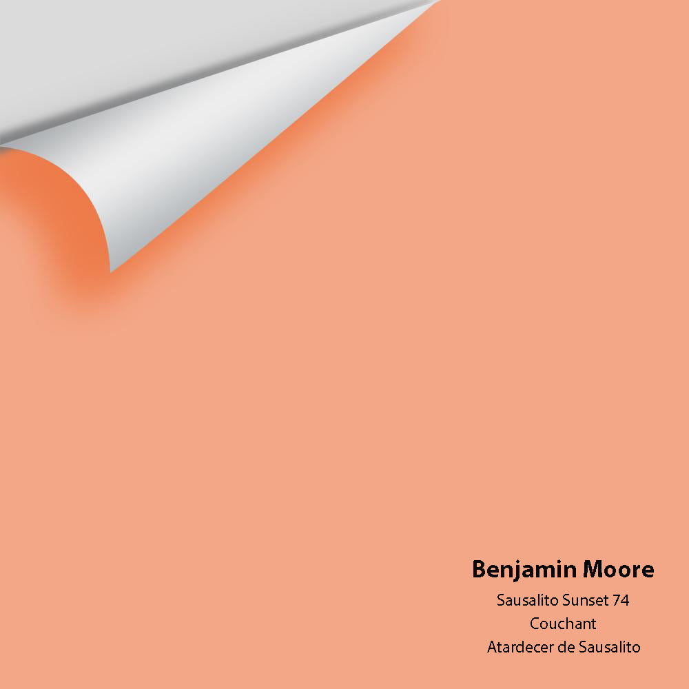 Big Paint Chip - Sausalito Sunset 74