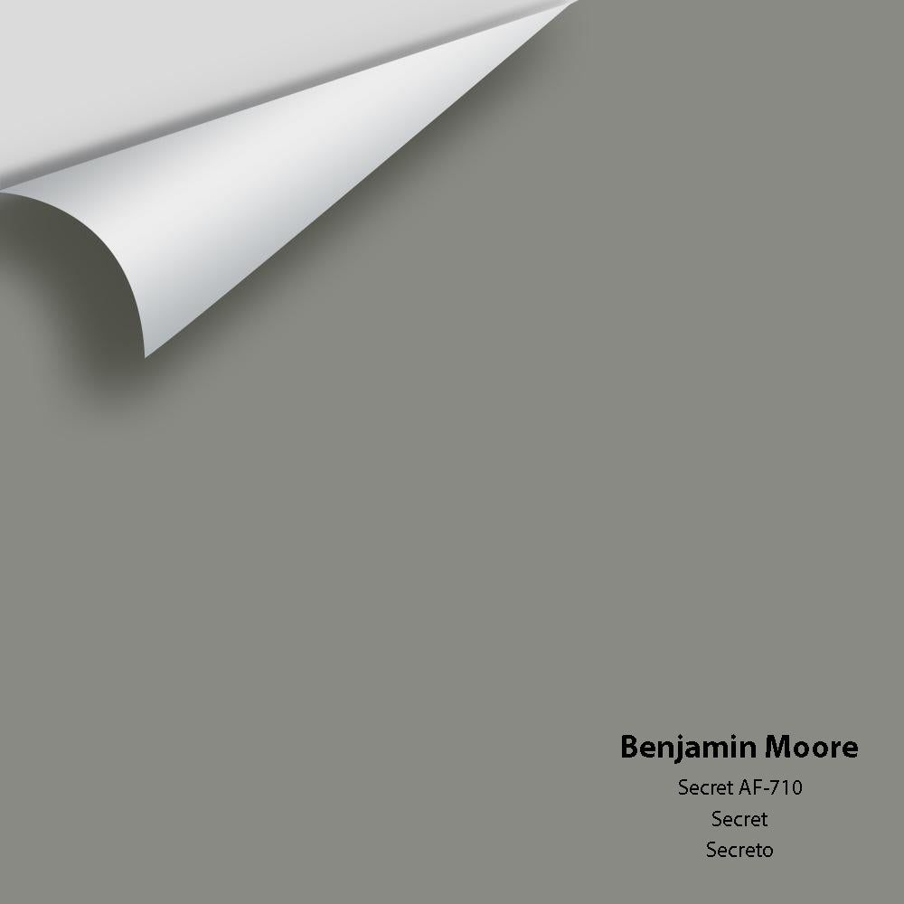 Benjamin Moore - Secret AF-710 Colour Sample