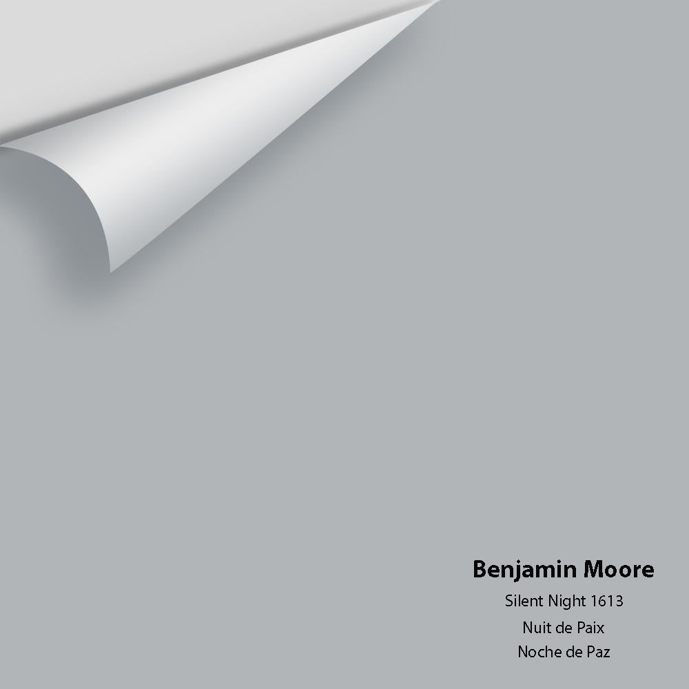 Benjamin Moore - Silent Night 1613 Colour Sample