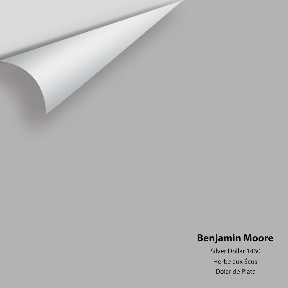 Benjamin Moore - Silver Dollar 1460 Colour Sample