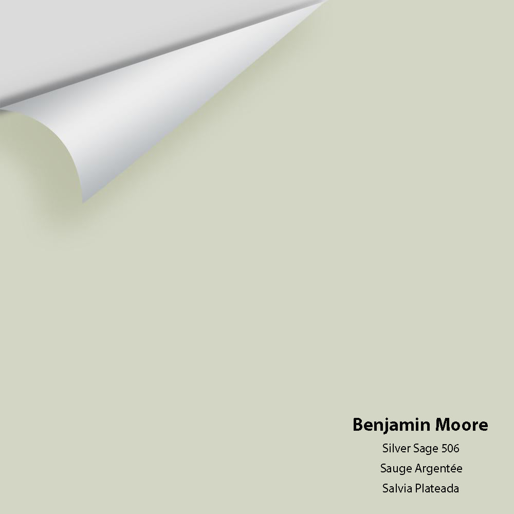 Benjamin Moore - Silver Sage 506 Colour sample