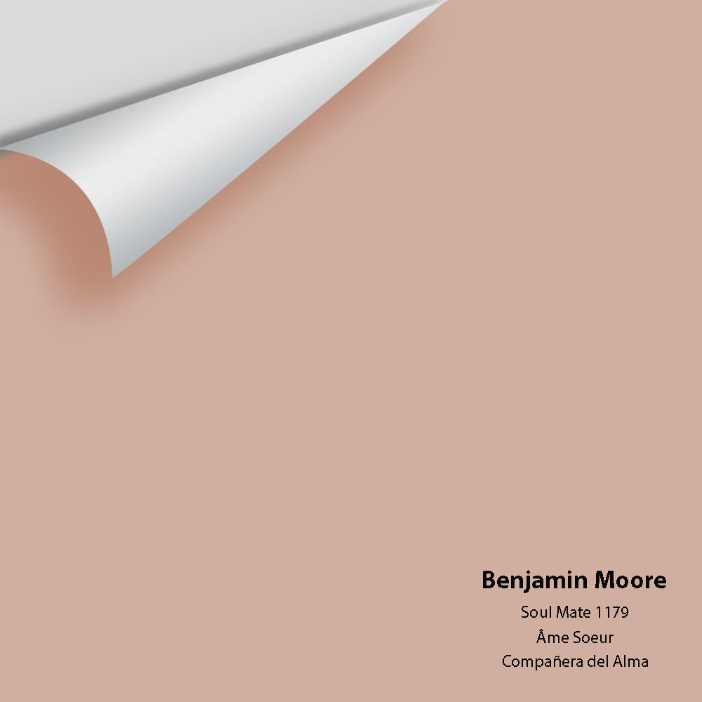 Big Paint Chip - Soul Mate 1179