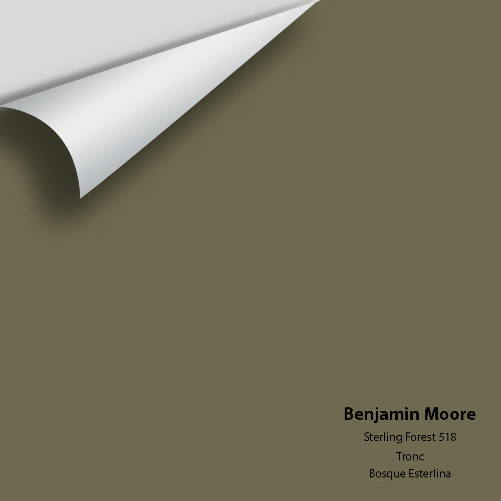 Big Paint Chip - Sterling Forest 518