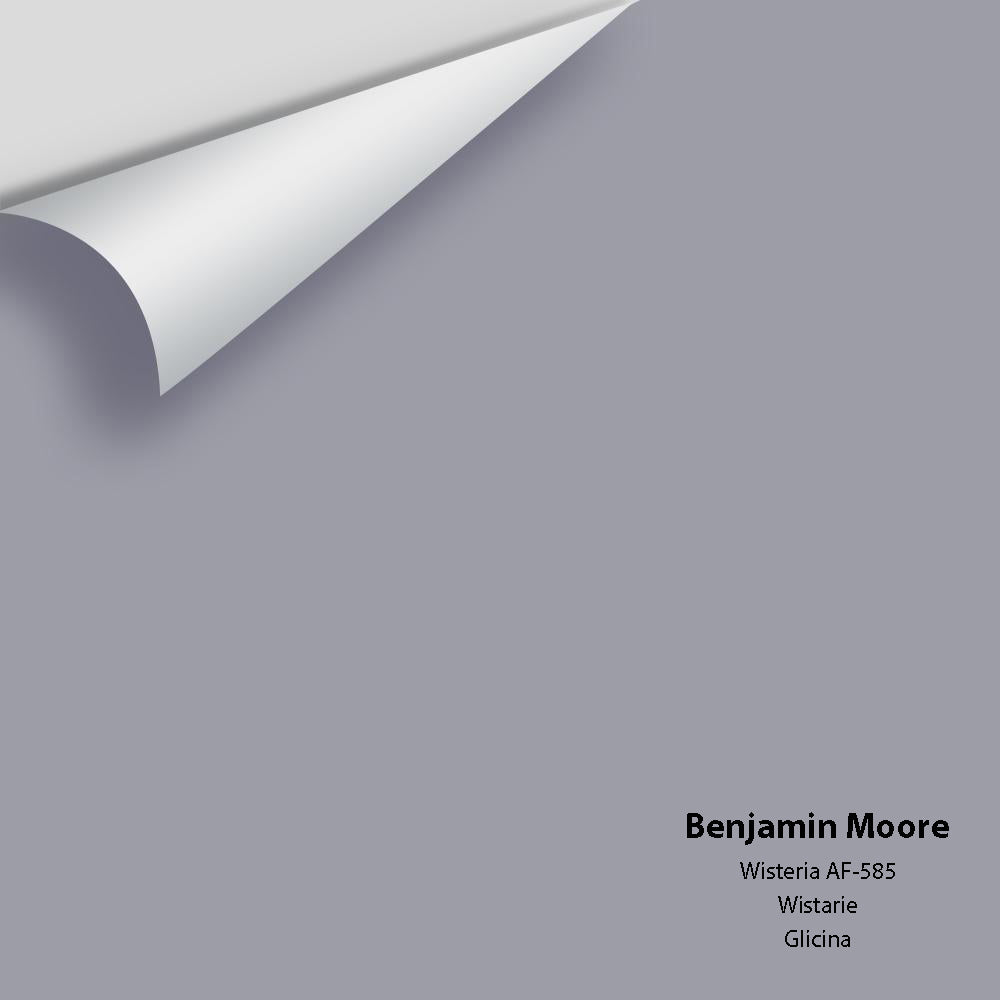 Benjamin Moore - Wisteria AF-585 Colour Sample