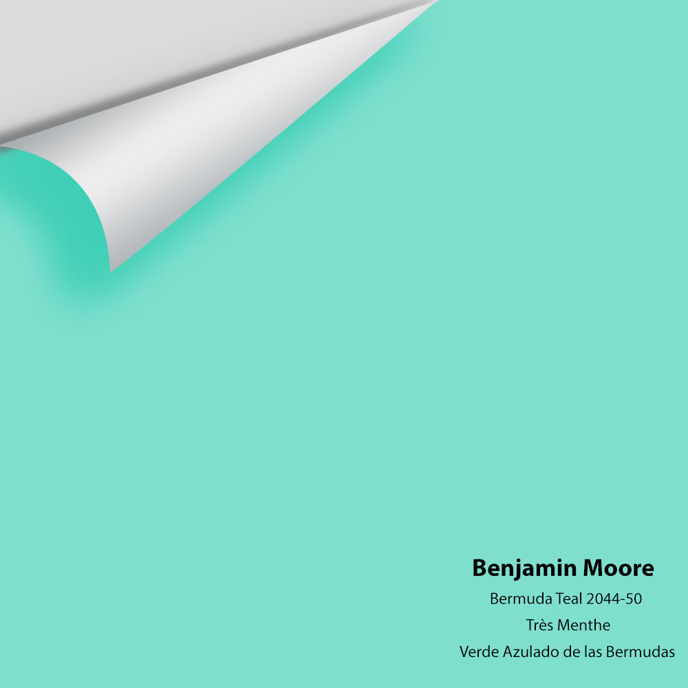 Big Paint Chip - Bermuda Teal 2044-50
