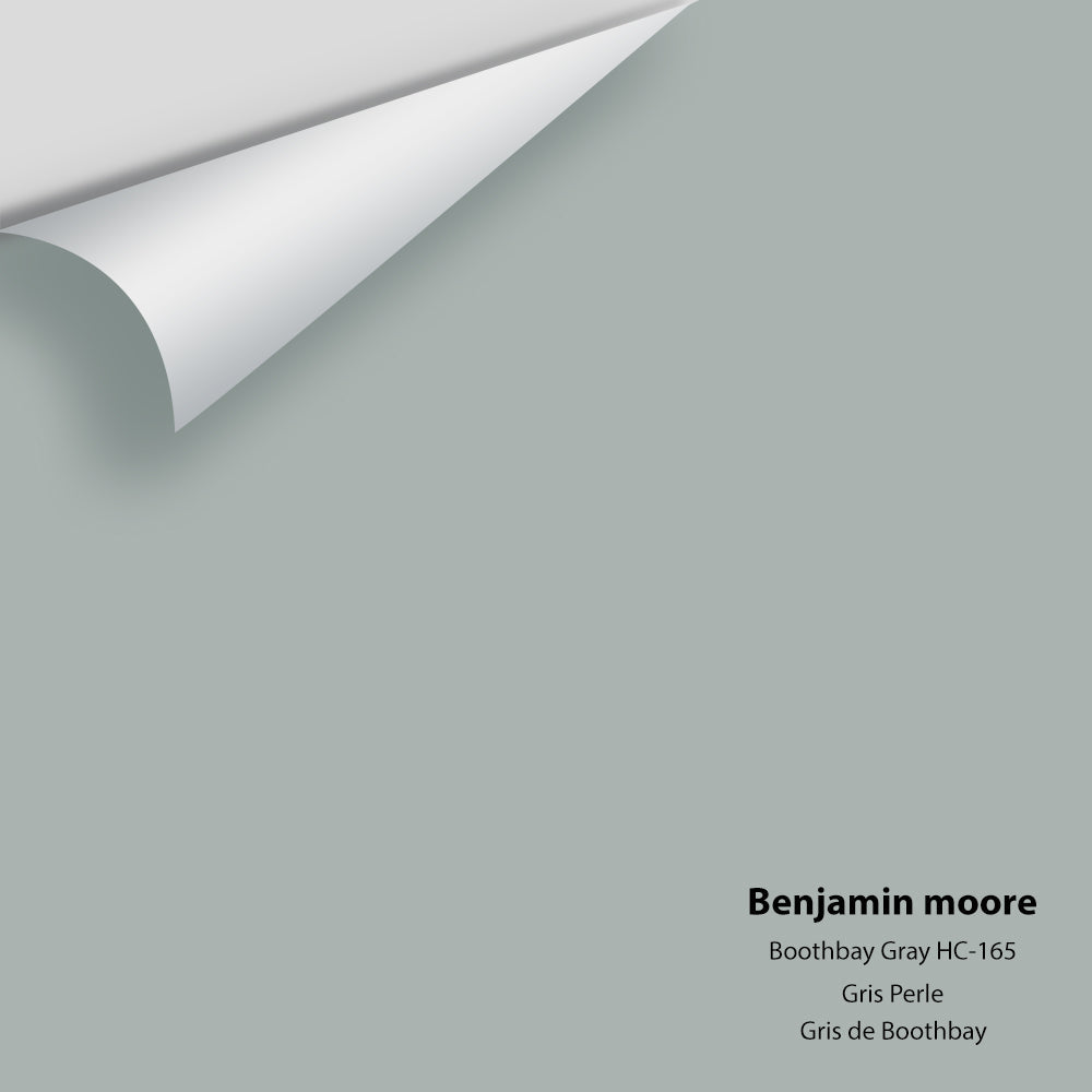 Benjamin Moore - Boothbay Gray HC-165 Colour Sample