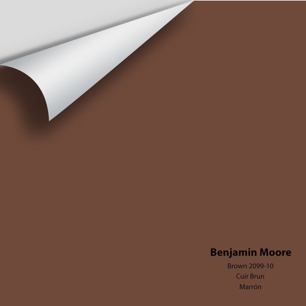 Big Paint Chip - Brown 2099-10 Colour Sample