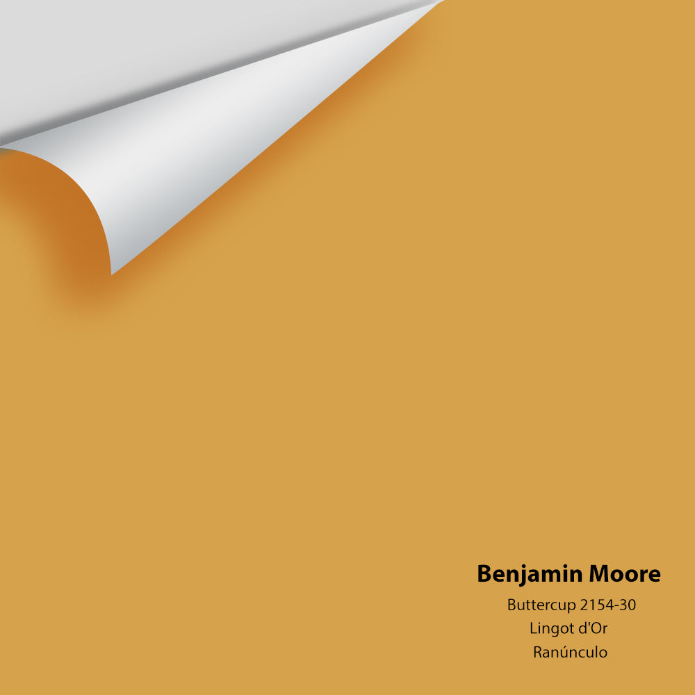 Benjamin Moore - Buttercup 2154-30 Colour Sample