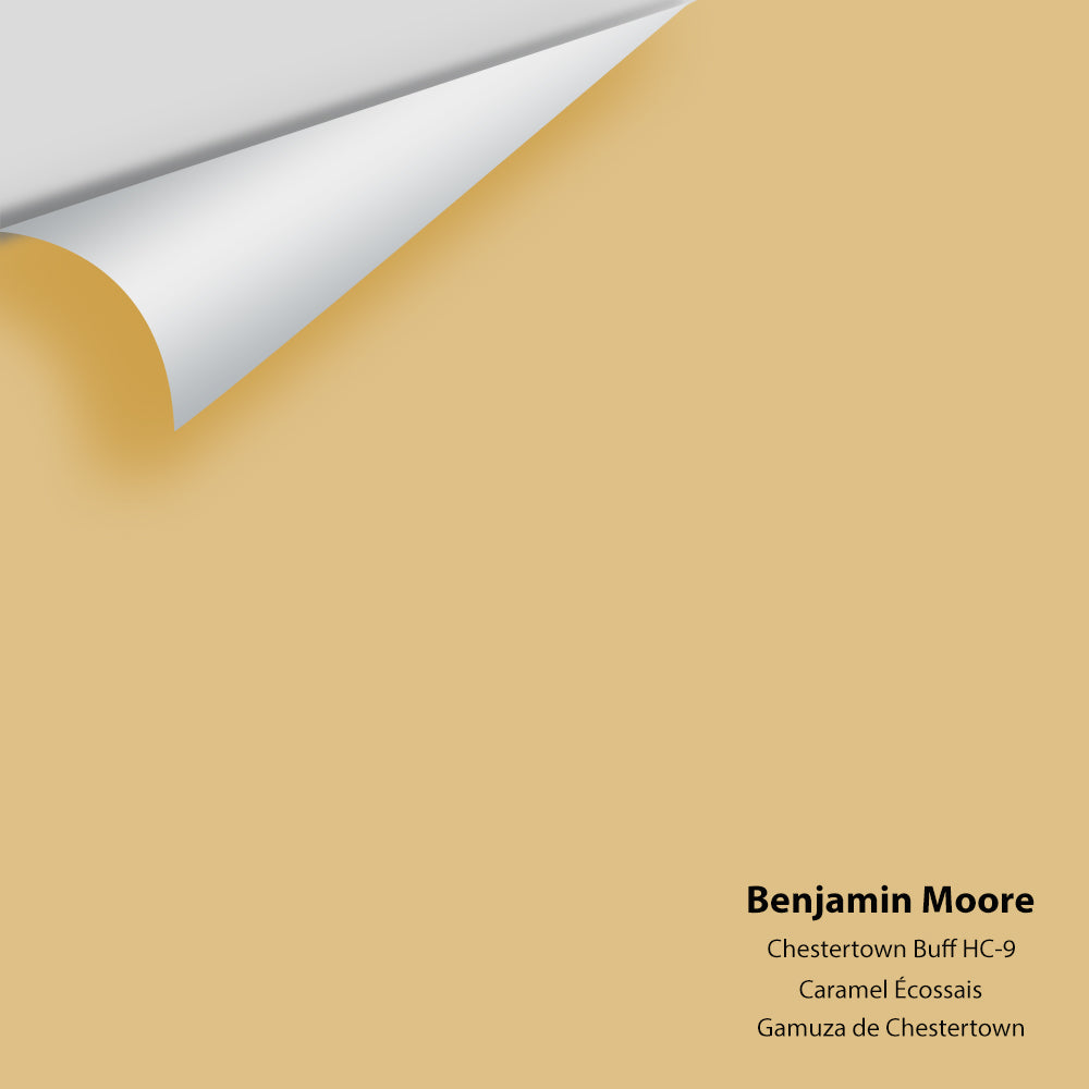 Benjamin Moore - Chestertown Buff HC-9 Colour Sample