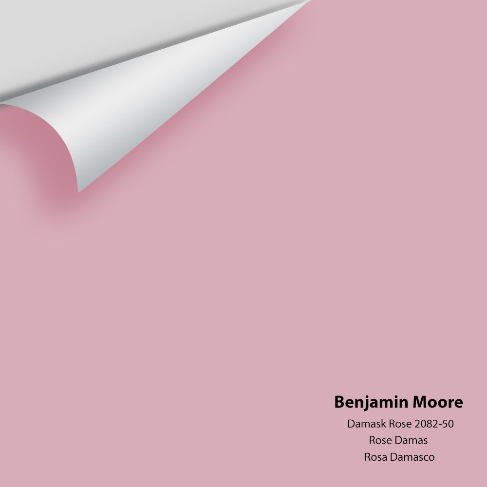 Benjamin Moore - Damask Rose 2082-50 Colour Sample