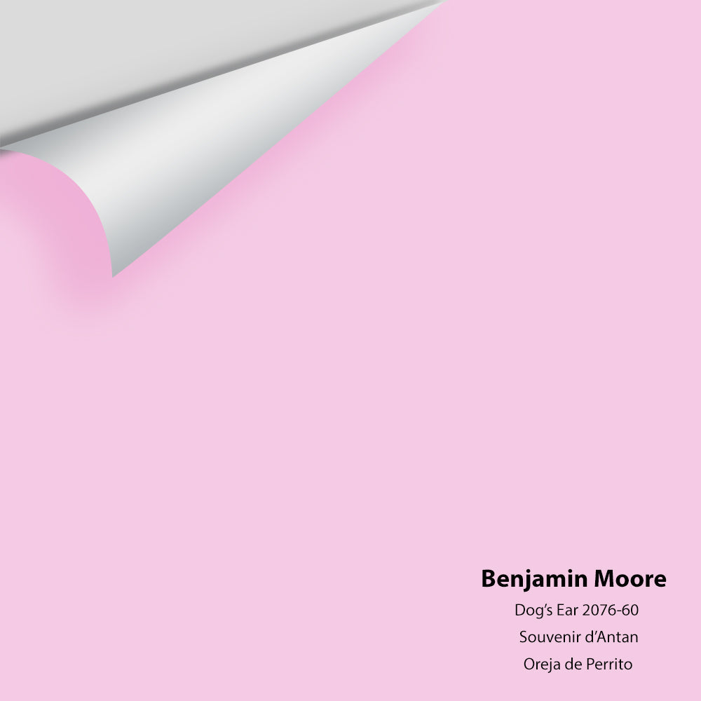 Big Paint Chip - Dog's Ear 2076-60