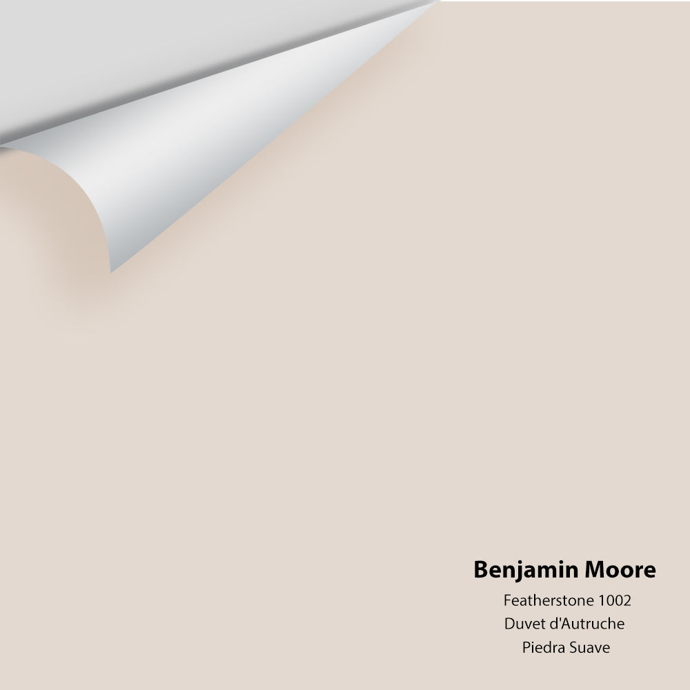 Benjamin Moore - Featherstone 1002 Colour Sample
