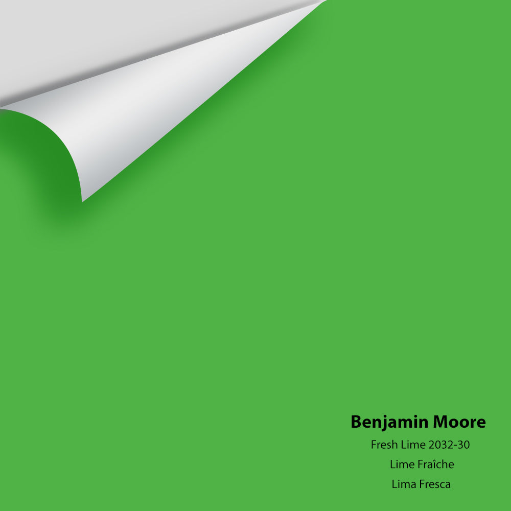 Big Paint Chip - Fresh Lime 2032-30