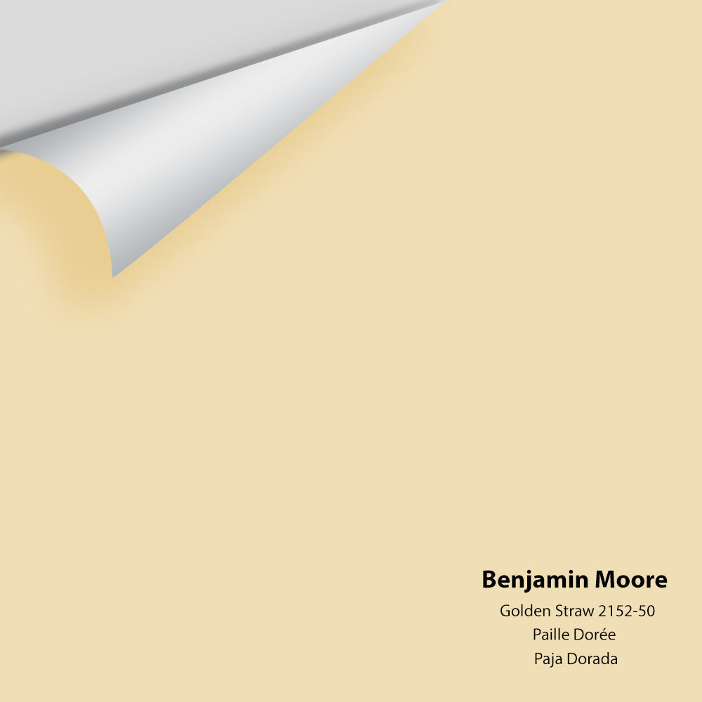Benjamin Moore - Golden Straw 2152-50 Colour Sample