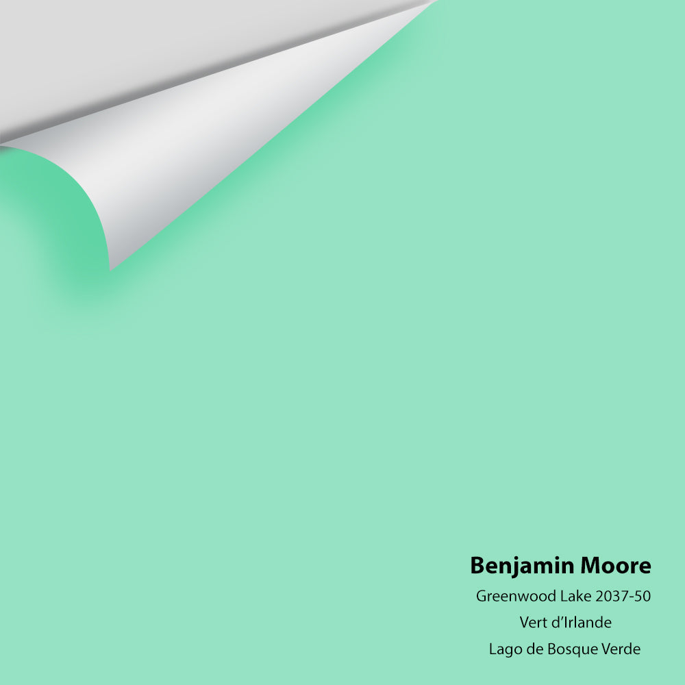 Big Paint Chip - Greenwood Lake 2037-50