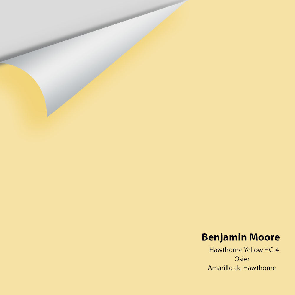 Benjamin Moore - Hawthorne Yellow HC-4 Colour Sample