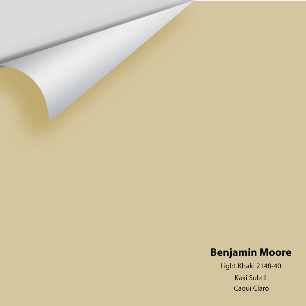 Big Paint Chip - Light Khaki 2148-40